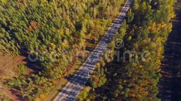 森林的空中公路森林景观中的空中观景空路视频的预览图