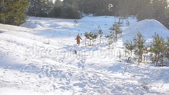 女孩和一只狗在白雪覆盖的树木背景下的冬天公园里散步阳光明媚的霜天视频的预览图