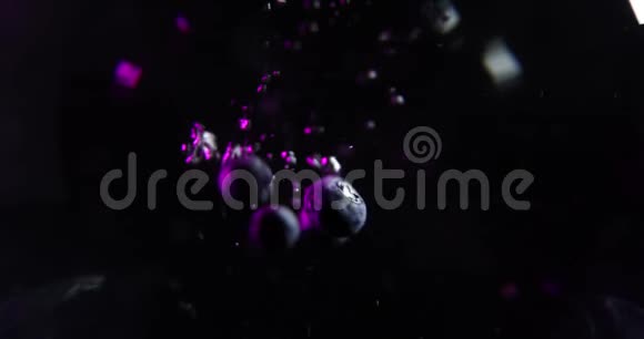 蓝莓掉进水里黑色背景视频的预览图
