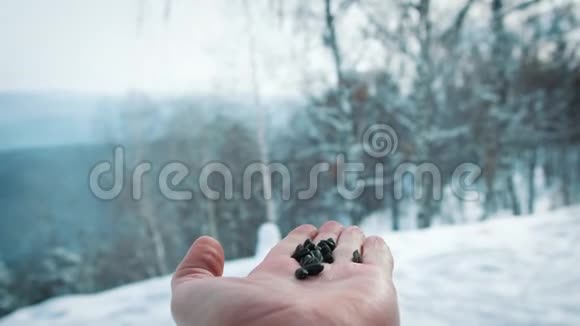 灰杰伊在下雪时吃人的手视频的预览图
