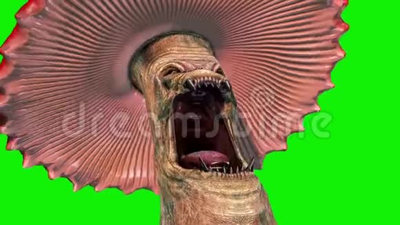 蘑菇怪物看周围绿色屏幕关闭3D渲染动画视频的预览图