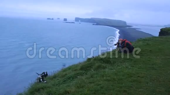 女孩照片河豚在Dyrholaey冰岛视频的预览图