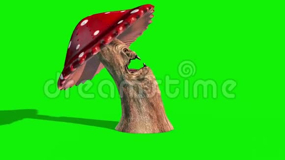 蘑菇怪物击中它侧面绿色屏幕3D渲染动画视频的预览图