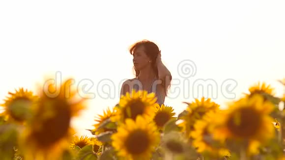 快乐的女孩头发在风中飞扬走在黄色的向日葵里田野里开着金色的花夏天阳光明媚的一天视频的预览图