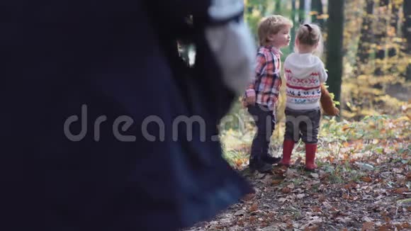 初恋森林里的孩子森林里的孩子们女孩和男孩在森林里玩秋天快乐的孩子们视频的预览图