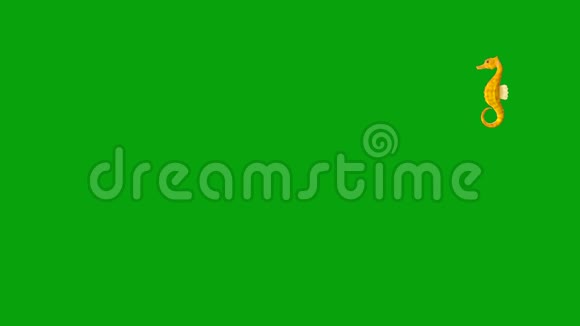 提供绿色屏幕背景的游泳海马视频的预览图