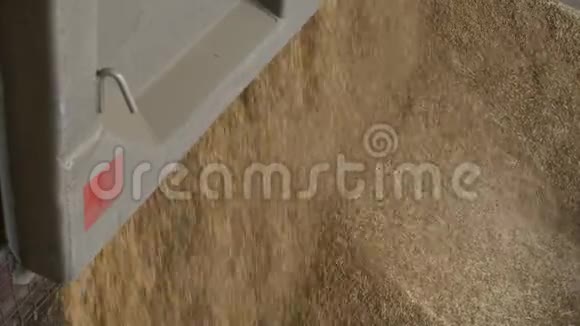 汽车卡车把玉米或大麦运往电梯农业视频的预览图