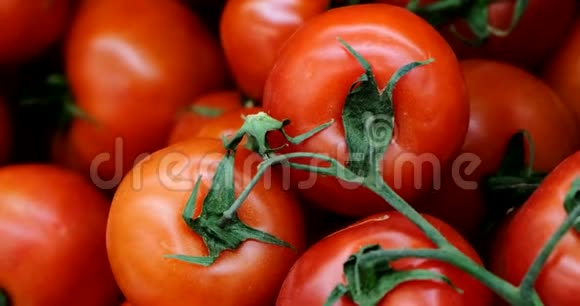 超市摊上的新鲜红番茄视频的预览图