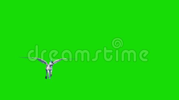 独角飞马飞前绿色屏幕三维渲染动画视频的预览图
