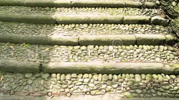 石楼梯和绿色植物视频的预览图