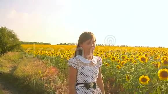 女孩走在黄色的向日葵的田野上金色的花朵向日葵在夏天的假期里迎风散步视频的预览图