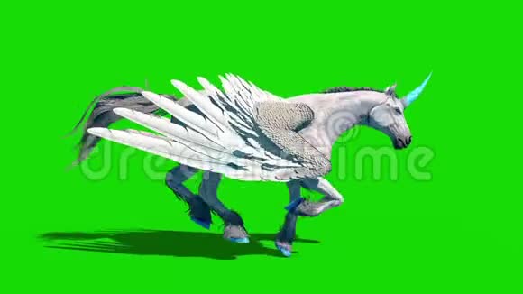 独角兽飞马飞马飞马跑循环绿屏3D渲染动画视频的预览图