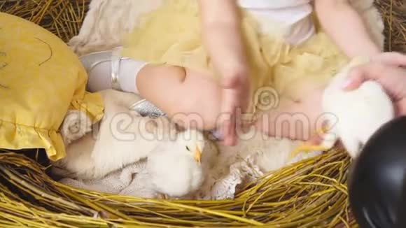 两只小鸡和女模特在巢里视频的预览图
