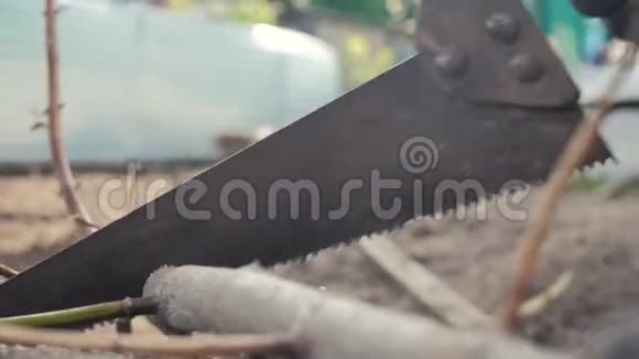 工人用手锯树枝手工劳动生活方式钢锯锯木人锯木特写慢镜头视频的预览图