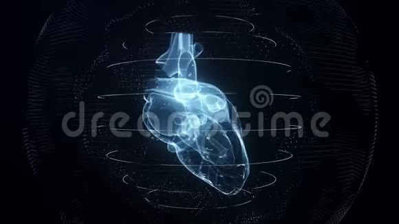 解剖校正的蓝色数字心脏无缝环与心脏扫描视频的预览图