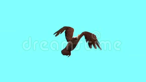 秃鹫鸟掠食飞行循环顶部蓝屏3D渲染动画视频的预览图