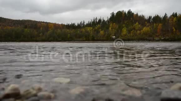 深秋时节清冽的寒河水流与茂密的森林视频的预览图