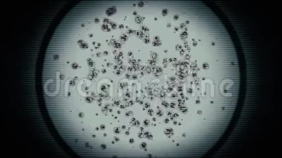 显微镜下放大胚胎有丝分裂干细胞集落组织切片视频的预览图