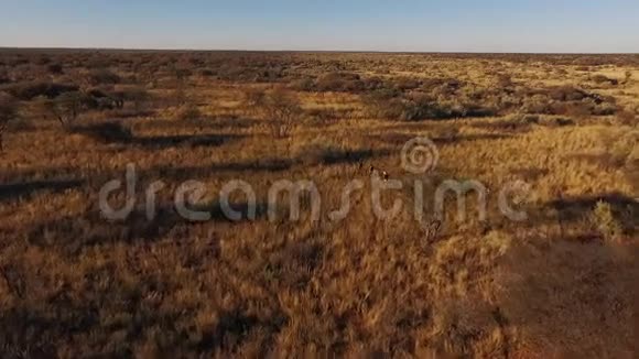 在纳米比亚的大草原上行走的人的视野视频的预览图