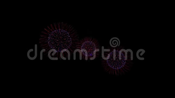 美丽的多色烟花在夜空循环动画视频的预览图