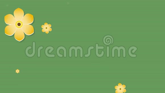 背景动画镜头可爱的黄色花朵在纸艺术风格上绽放在绿色背景上视频的预览图