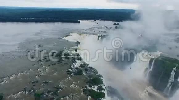 从伊瓜苏瀑布和巴西雨林中拍摄河流全景视频的预览图