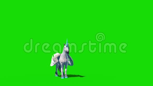 独角兽飞马飞翼马正面绿幕3D渲染动画视频的预览图