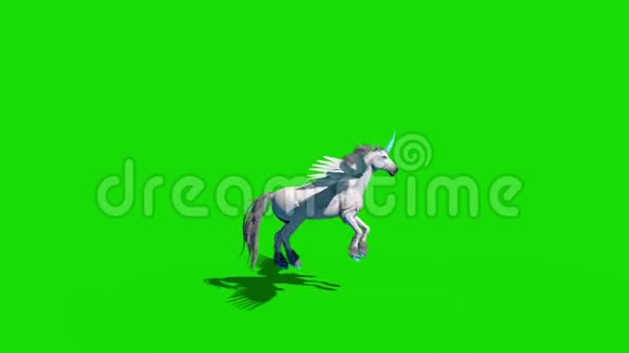 独角飞马翼马飞行绿色屏幕三维渲染动画视频的预览图