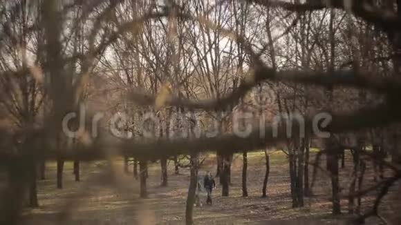 日落时分一对相爱的情侣在森林里散步视频的预览图