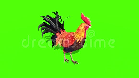 鸡羽绒垫绿屏3D渲染动画视频的预览图
