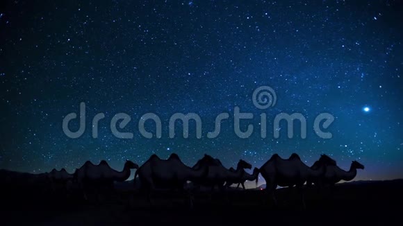沙漠中的骆驼群三维渲染动画视频的预览图