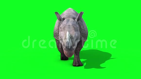 犀牛行走循环前绿色屏幕三维动画动物视频的预览图
