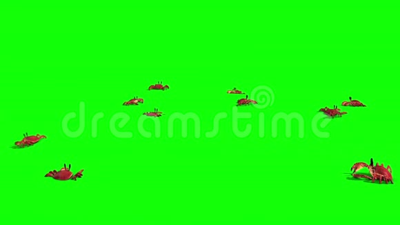 蟹群沙绿屏3D渲染动画视频的预览图