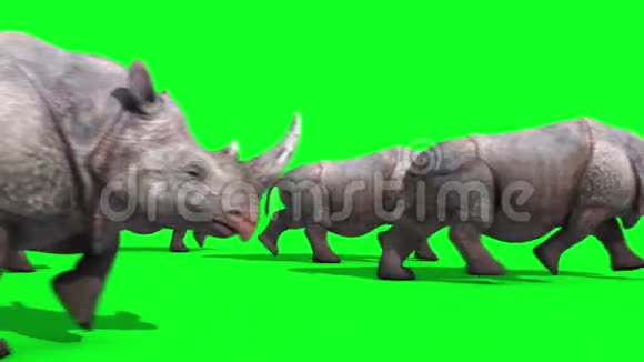 犀牛集团运行侧绿色屏幕3D渲染动画动物视频的预览图