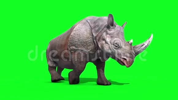 犀牛行走循环绿屏3D渲染动画动物视频的预览图