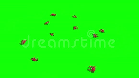 群蟹在沙滩绿屏顶3D渲染动画视频的预览图