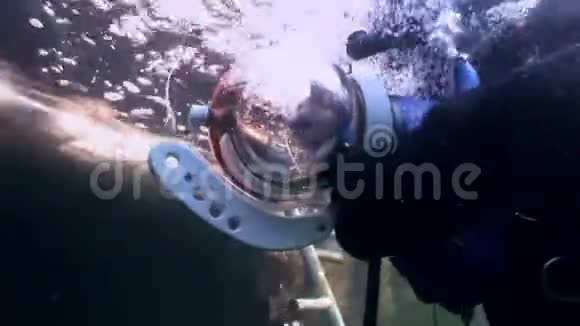 水下反射阳光背景下的猫水肺潜水员视频的预览图