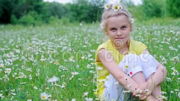 肖像金发女孩孩子坐在草地上在雏菊中在草地上她的头发上装饰着雏菊视频的预览图