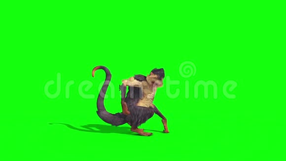 猴模侧绿屏3D渲染动画视频的预览图