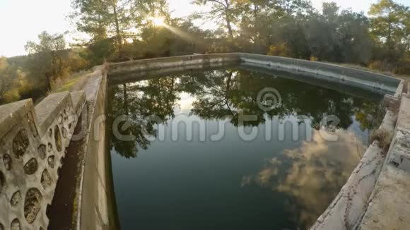 树木太阳和天空被反射在一个蓄水池里用来浇灌橄榄树视频的预览图