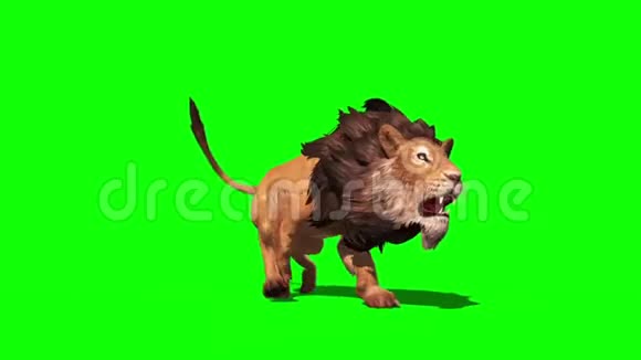 狮子跑透视循环三维渲染动画视频的预览图