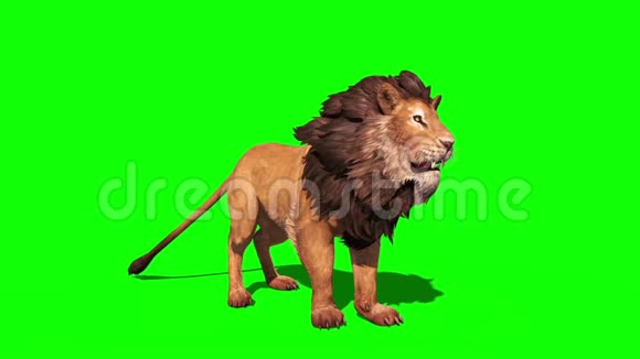 狮子吼透视循环三维渲染动画视频的预览图