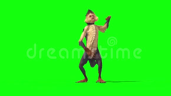 猴子攻击前绿幕3D渲染动画视频的预览图