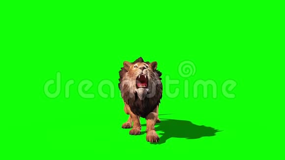 狮子攻击前圈3D渲染动画视频的预览图