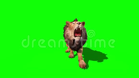 狮子攻击近前循环3D渲染动画视频的预览图