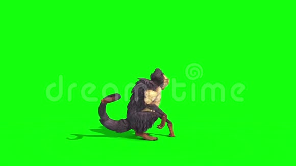 猴子转绿幕3D渲染动画视频的预览图