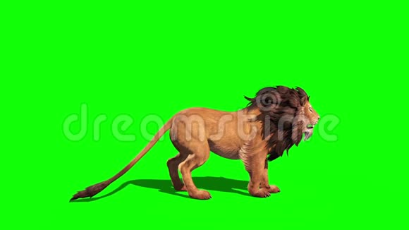 狮子吼侧环三维渲染动画视频的预览图