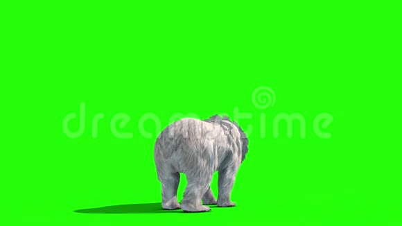 极地熊车背绿幕3D渲染动画视频的预览图
