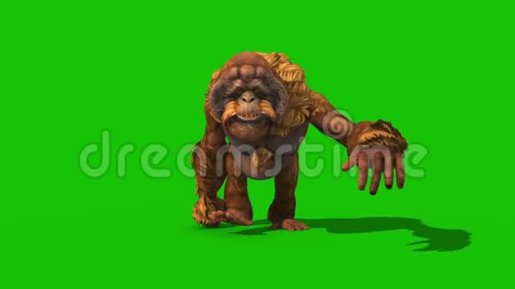 OrangutansWalkCycle前绿色屏幕猴子动物3D渲染动画视频的预览图
