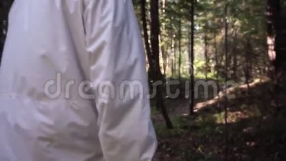 人走在穿过森林的小路上录像一个人的后视自然中的主动娱乐概念视频的预览图